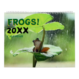 2027 Frogs in Nature Wall Calendar Cute