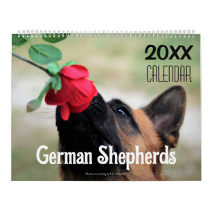 2027 German Shepherd Dog Wall Calendar Animal