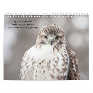 2027 Hawks of the Hudson Valley   Wildlife Calendar