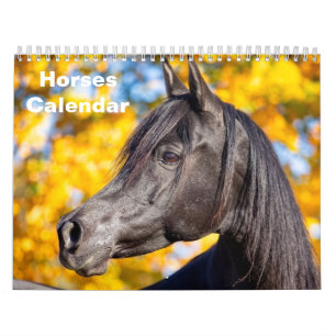 2027 Horse Calendar