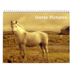 2027 Horse Pictures Images Calendar