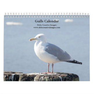 2027 Hudson River Gulls | Wildlife Photography Calendar