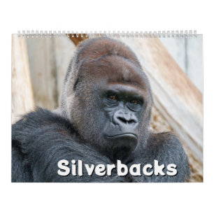 2027 Legendary Silverback Gorilla Photography Calendar