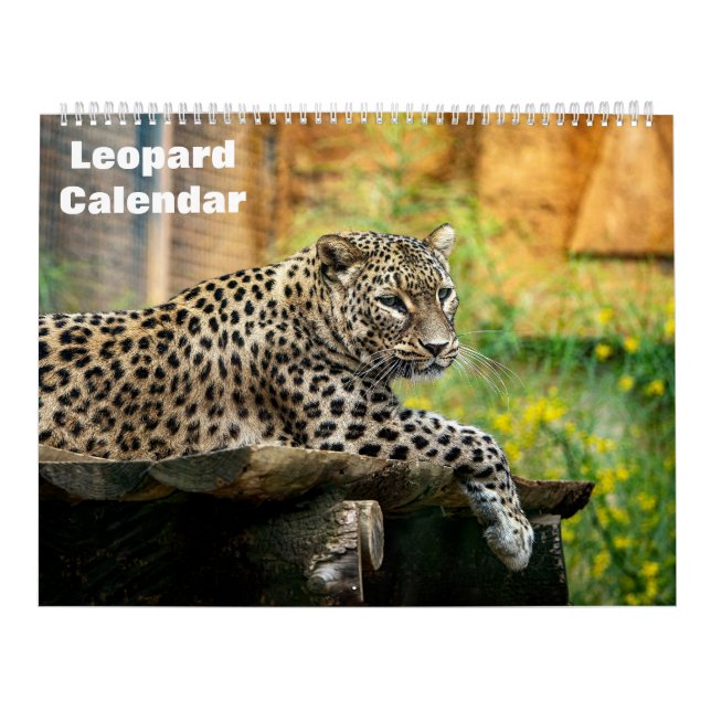 2027 Leopard Calendar (Cover)