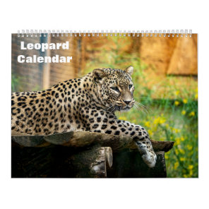 2027 Leopard Calendar