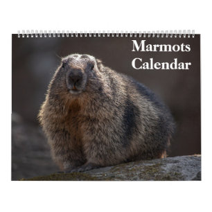 2027 Marmots Calendar