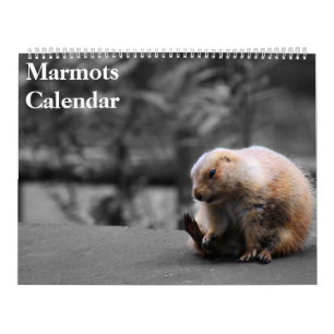 2027 Marmots Calendar