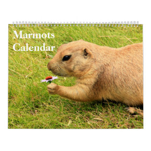 2027 Marmots Calendar