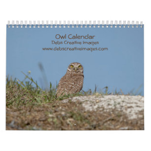 2027 Owl Calendar   Gift for Owl & Bird Lovers