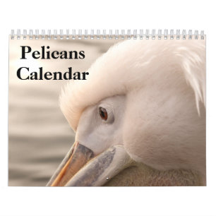 2027 Pelicans Bird Calendar