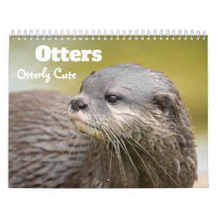 2027 Playful Otters Photo Calendar