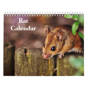 2027 Rat Calendar