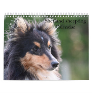2027 Shetland Sheepdog Calendar
