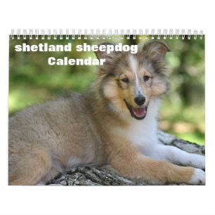 2027 Shetland Sheepdog Calendar