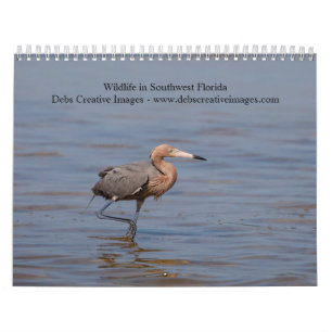 2027 Southwest Florida Wildlife Birds & Nature Calendar