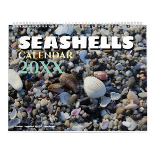2027 Wall Seashell Beach Shells  Calendar