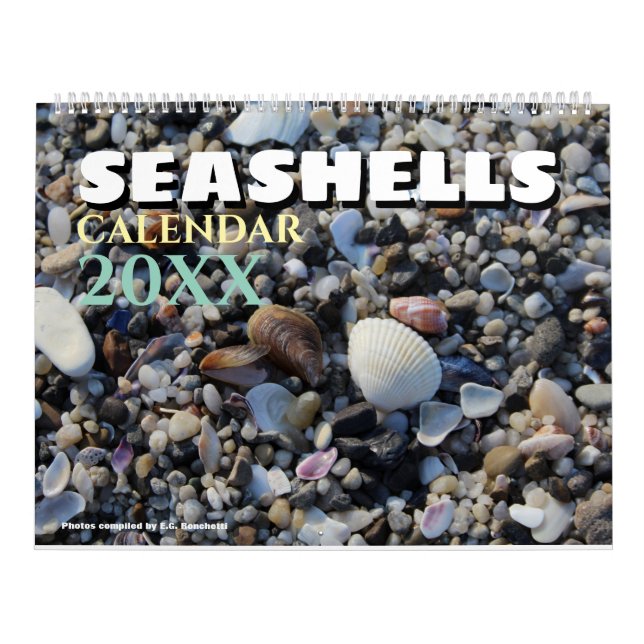 2027 Wall Seashell Beach Shells  Calendar (Cover)