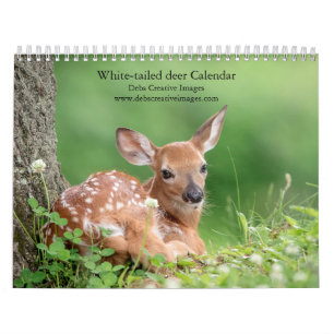 2027 White-tailed Deer Family Woodland Wildlife Calendar