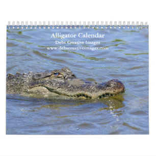 2027 Wild Alligators in Florida Everglades Wild Calendar
