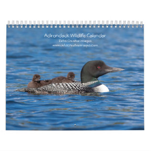 2027 Wildlife of the Adirondacks Mountains Calendar