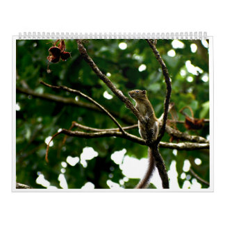 2027 Wildlife Photography Calendar