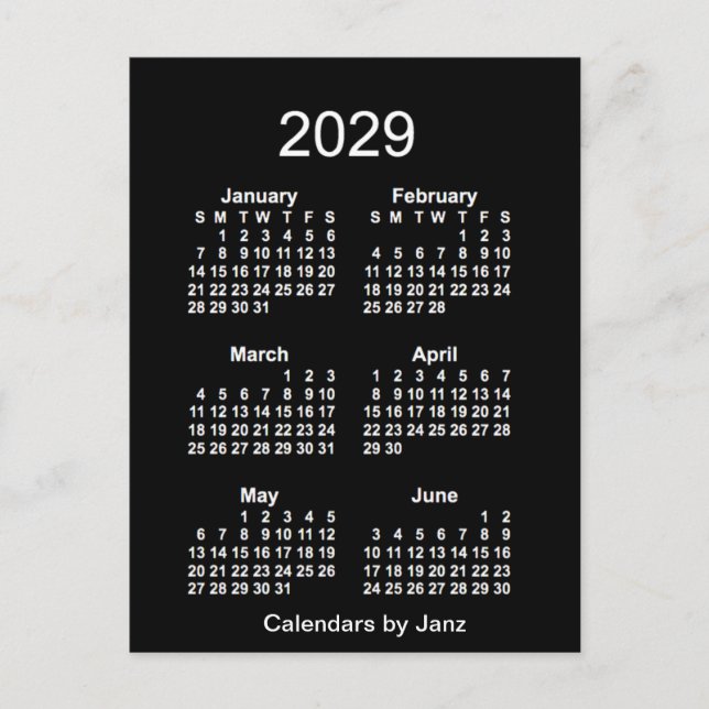 2029 Neon White 6 Month Mini Calendar by Janz Postcard (Front)