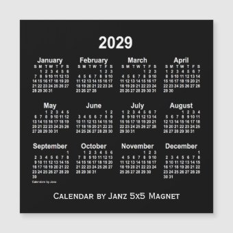 2029 Neon White Calendar by Janz 5x5 Magnet | Zazzle