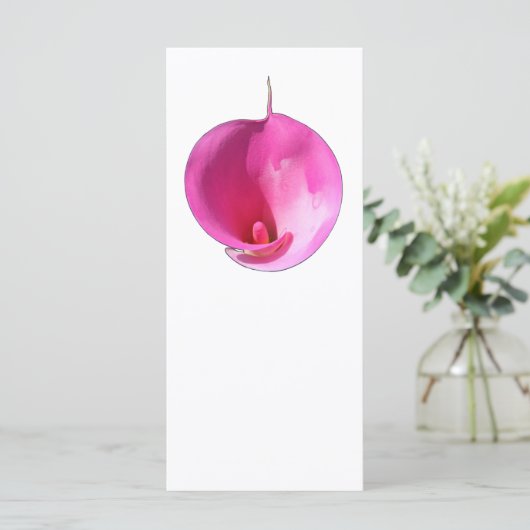 20349 (Standing Front)