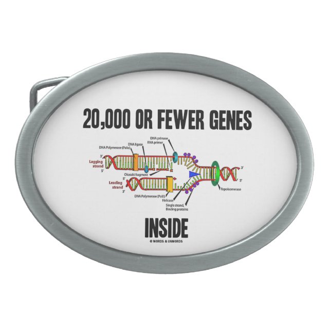 20,000 Or Fewer Genes Inside (DNA Replication) Belt Buckle (Front)