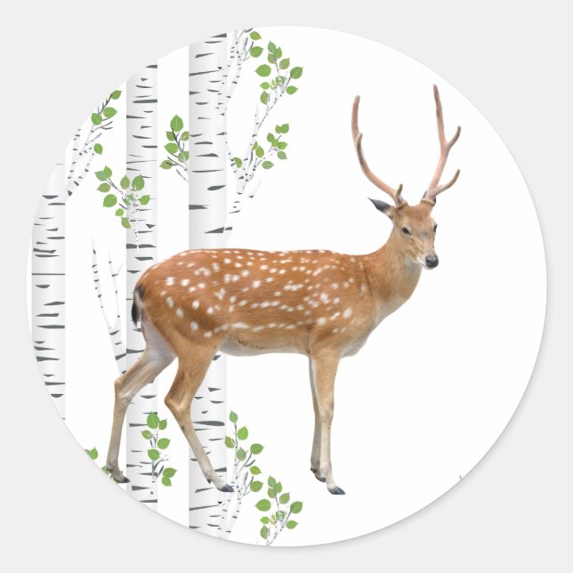 20 - 1.5  Envelope Seal Deer Doe Buck Woodland (Front)