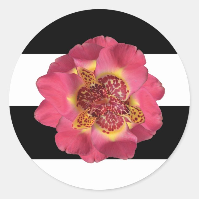 20 - 1.5  Envelope Seal Modern Stripe Black White (Front)