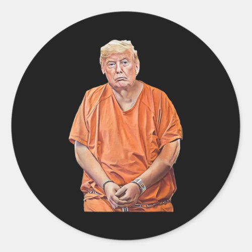 20_24 Years In Prison Funny Anti_trump  Classic Round Sticker