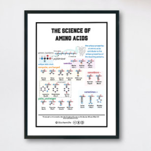 20 amino acids with its characteristics poster