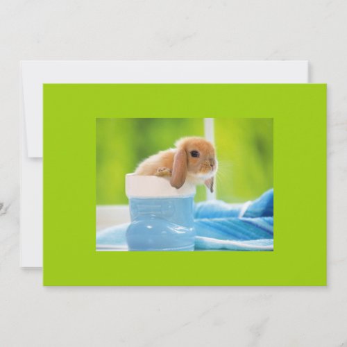 20_baby_animals (4) BABY BUNNY RABBIT blue greens Custom Invites