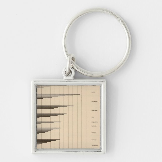 20 Urban to total population by states Keychain (Front)