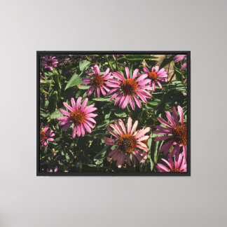 20"x16" Coneflowers Canvas Print