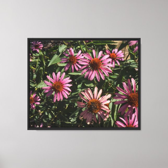 20"x16" Coneflowers Canvas Print (Front)