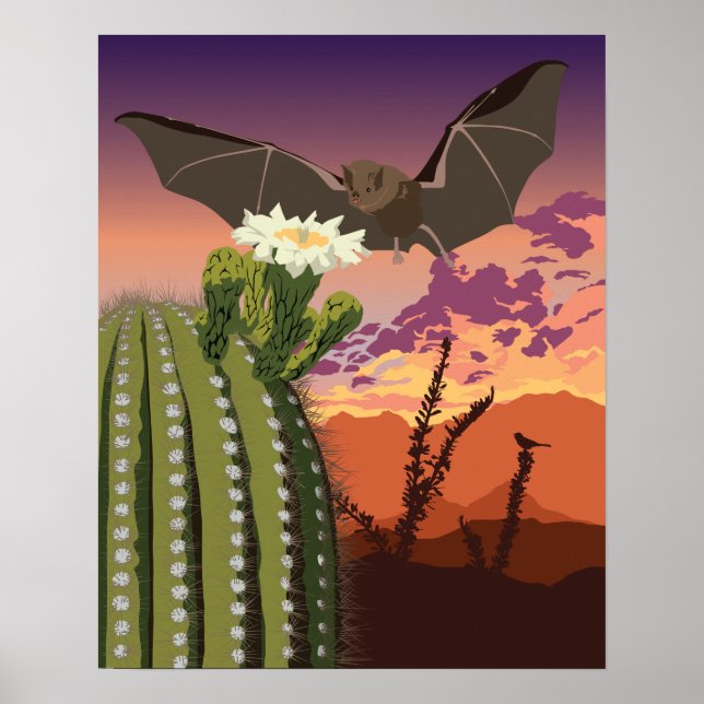 20"x16" Southwest Bat and Saguaro Poster (Front)
