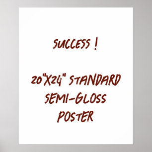 20"x24" Standard Semi-Gloss Poster