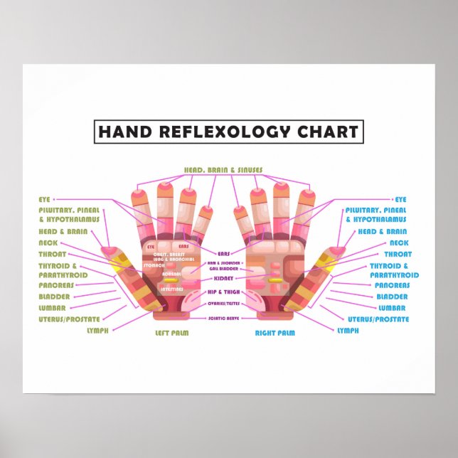 20" x 16", Hand Reflexology Poster (Front)