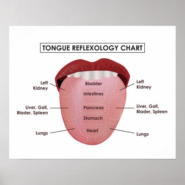 20" x 16", Tongue Reflexology Chart (Matte) (Front)
