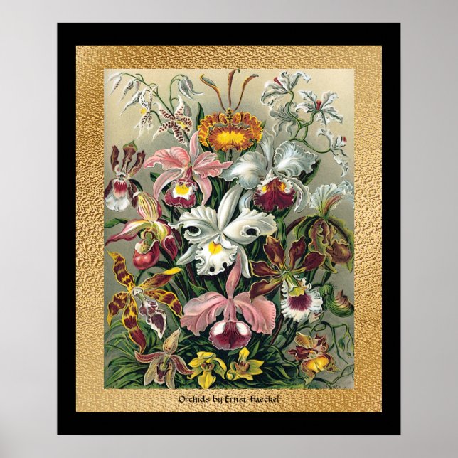 20 x 24 Black and Gold Poster (Front)