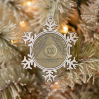 20 Year Sober Anniversary Medallion