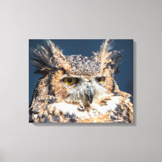 20x16 Great Horned Owl Portrait Canvas Print (Front)