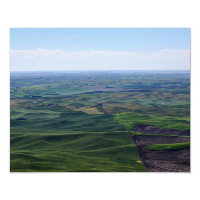 20X16 The Gentle Rolls of Palouse Hills Photo Print (Front)