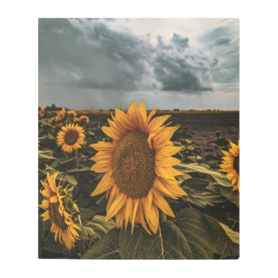 20x24 Metal Wall Art
