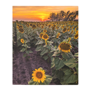 20x24 Metal Wall Art
