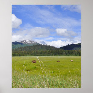 20x24 Poster Paper (Matte) of grizzly bears
