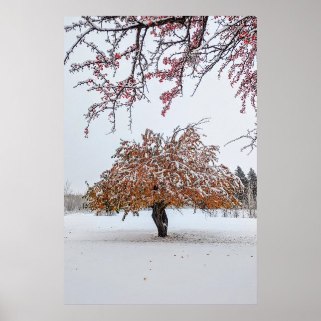 20x30 Wall Poster (Front)