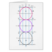 20x60m Dressage Court **Circles** (Front)